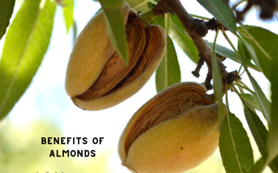 The Wonderful Benefits of Almonds
