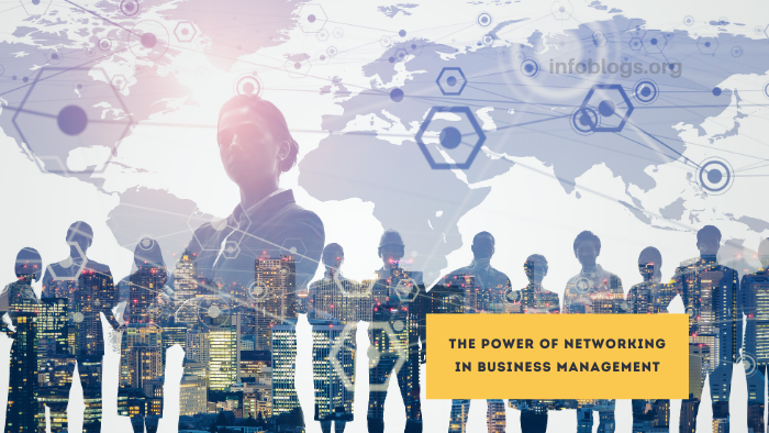 The Power of Networking in Business Management
